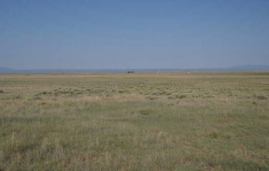 10 Acre Ranch Site in McIntosh, NM