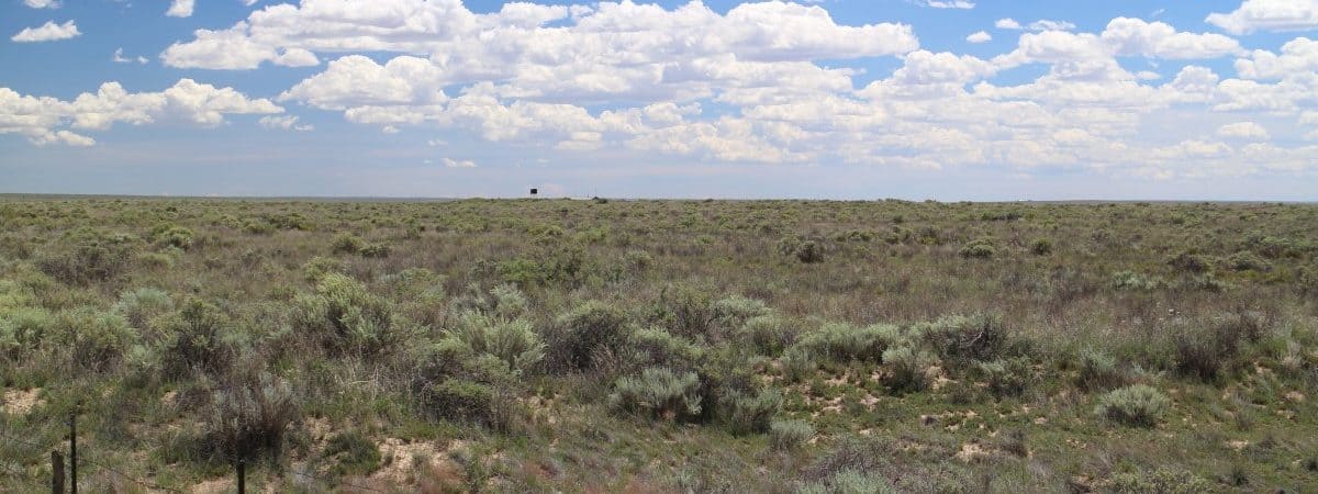 10 Acre Ranch with Power in McIntosh, NM