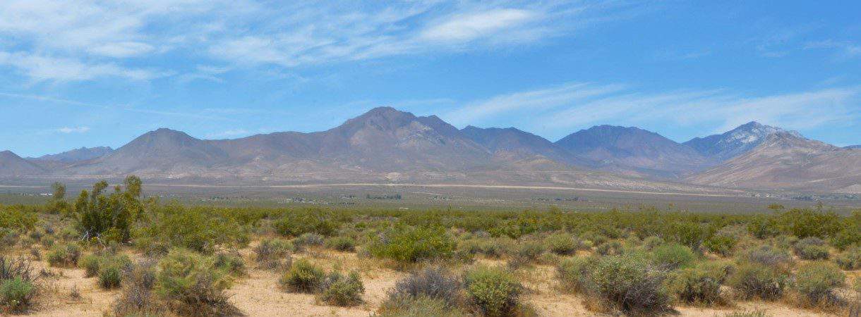 40+ Acres with Great Views in Inyokern, CA