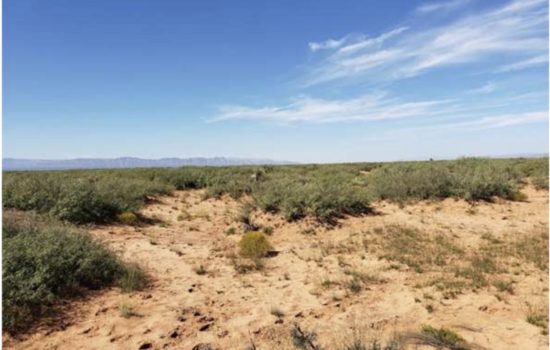 Perfect 5 Acre Parcel with Great Access