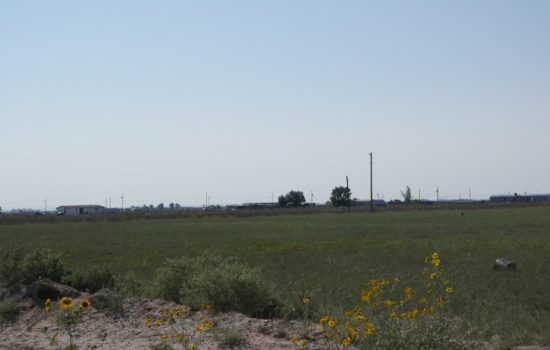 Acre Lot in El Rancho Grande Subdivision