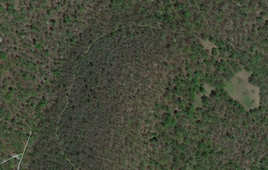 3 Acres of Quiet Woodland in Buncombe County, NC